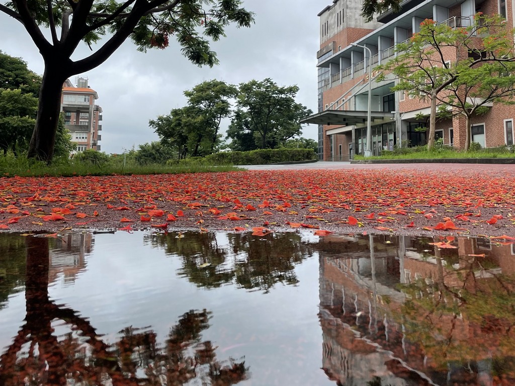 連結到校園美景