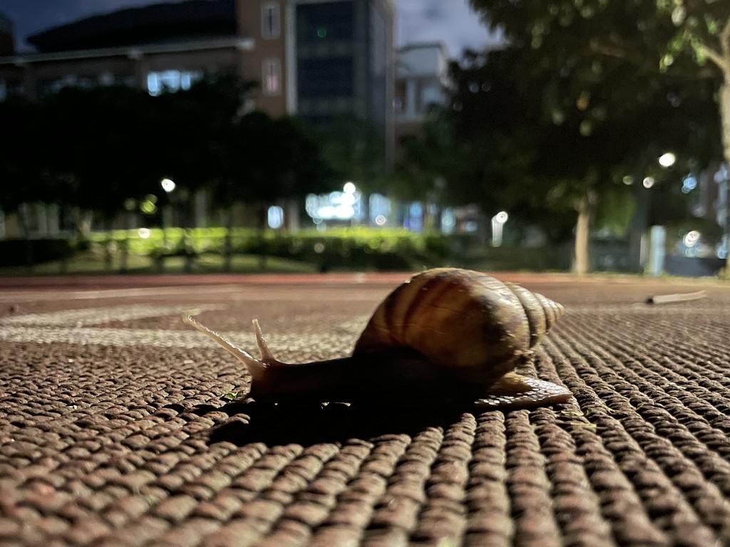 連結到校園美景